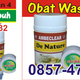 Illustration for article titled obat wasir resmi BPOM tanpa operasi tersembuhkan